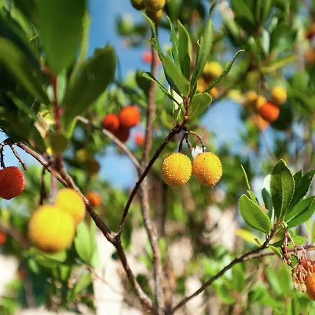 Dom wakacyjny In Umbria Near Vineyards Giano dellʼUmbria