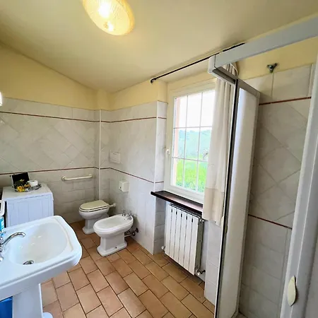 In Umbria Near Vineyards