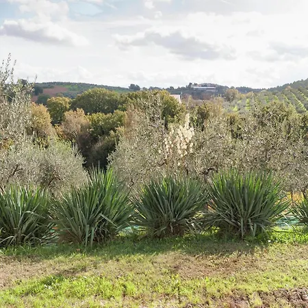 In Umbria Near Vineyards 펜션 *